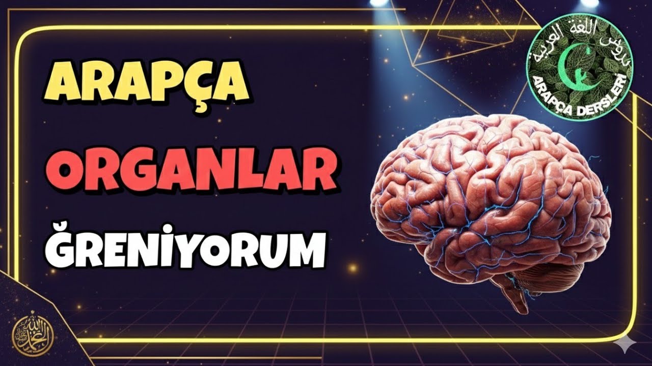 Arapça Öğreniyorum [ İç ve dış organları öğren #1] - Pratik Arapça dersleri - Arapça Öğreniyorum #1
