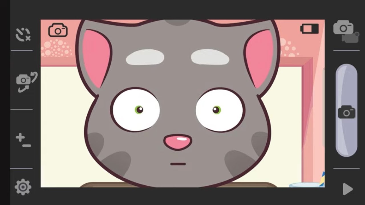 Camera Shy | Talking Tom & Friends Minis | Cartoons for Kids | WildBrain Zoo