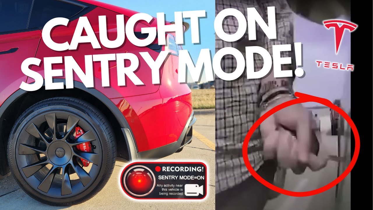 Режим Tesla Sentry: все, что вам нужно знать!