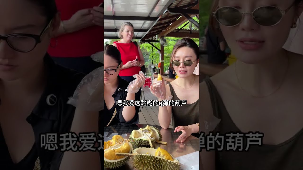 槟城第二天 打车前往浮罗山背 去吃树熟榴莲 简直是吃到了人间美味！#马来西亚美食  #槟城榴莲  #槟城