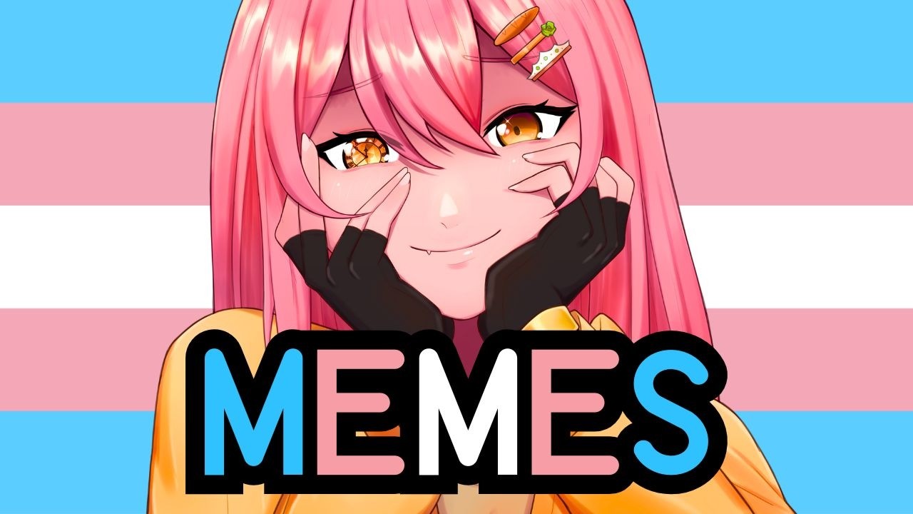 Memes to distract from the chaos