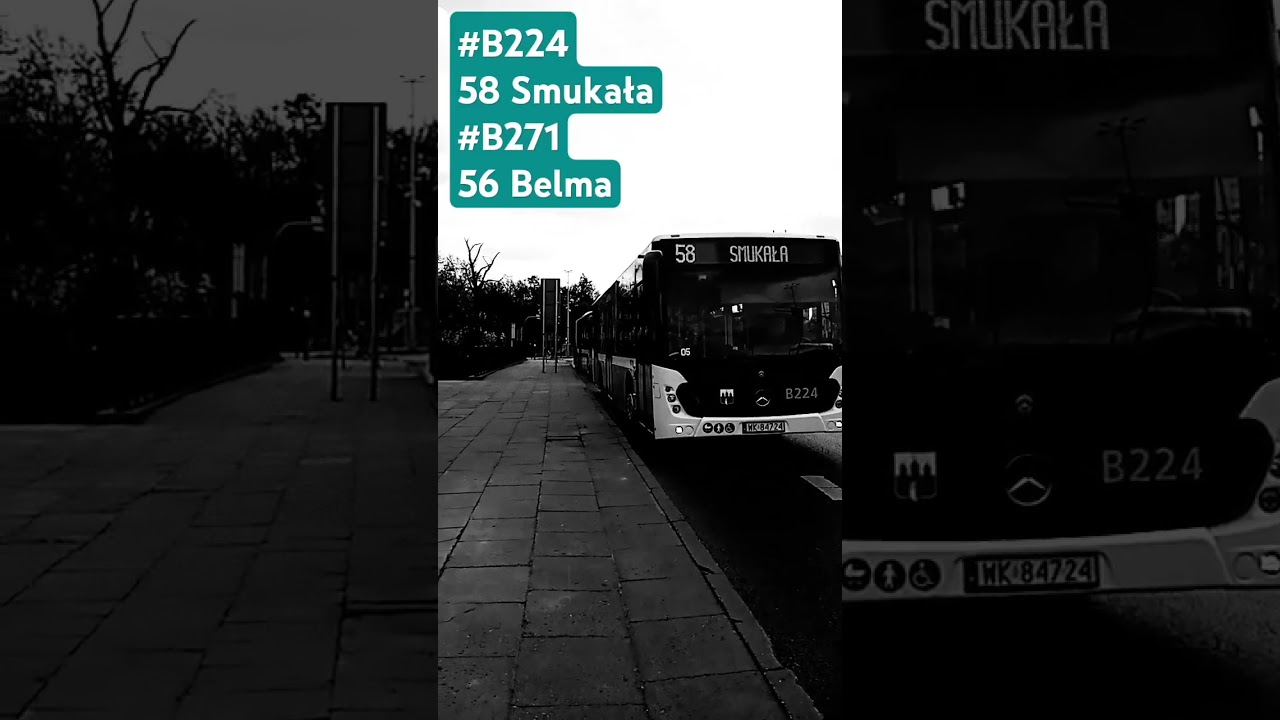 Linia 58 i Linia 56. #B224 #B271 #mzk #mobilis #bydgoszcz #busspotter