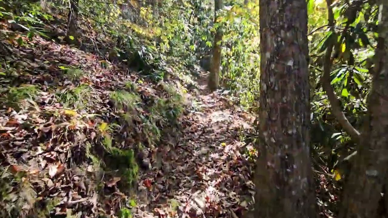 Pump Gap / AT Loop Trail, Part 1