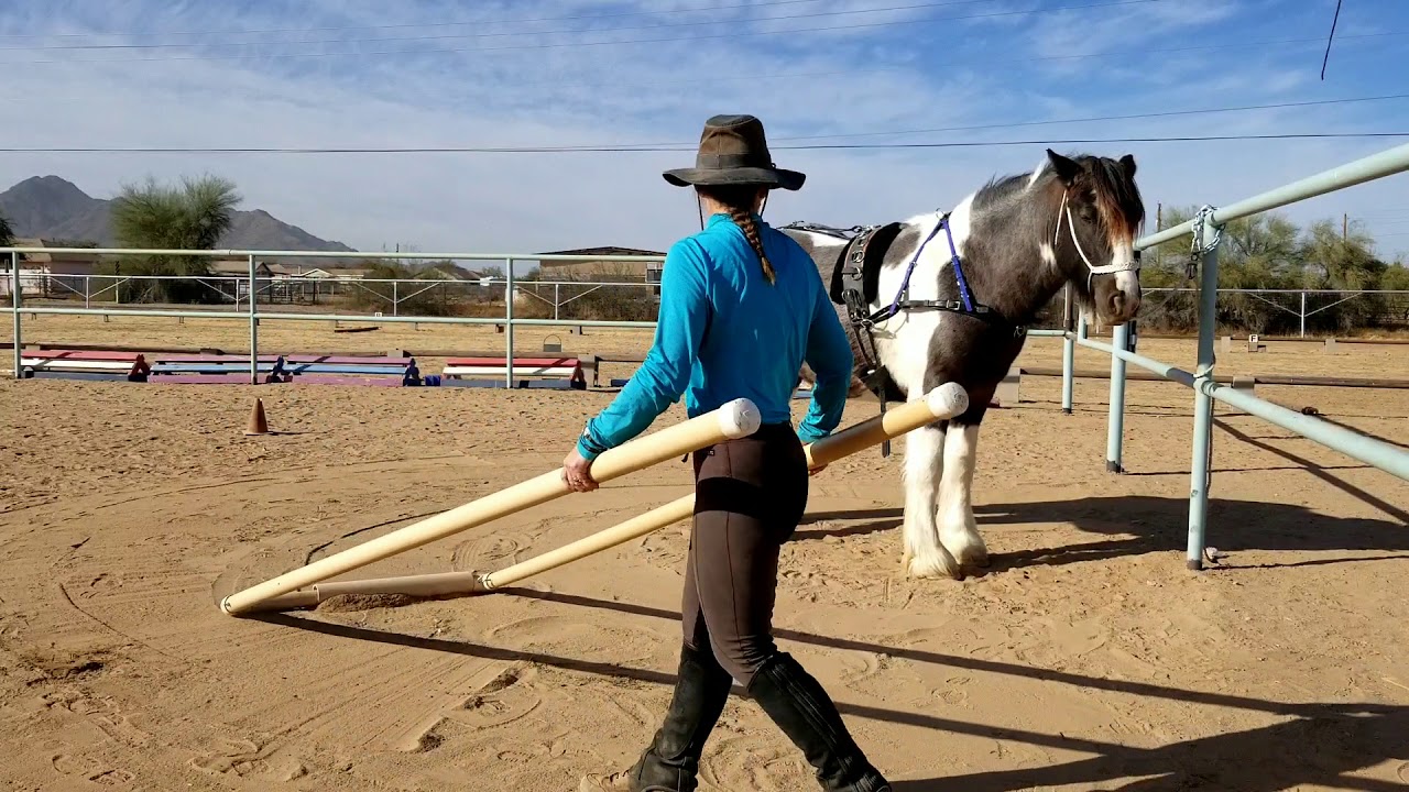 Introducing the tire and false shafts with Remmy