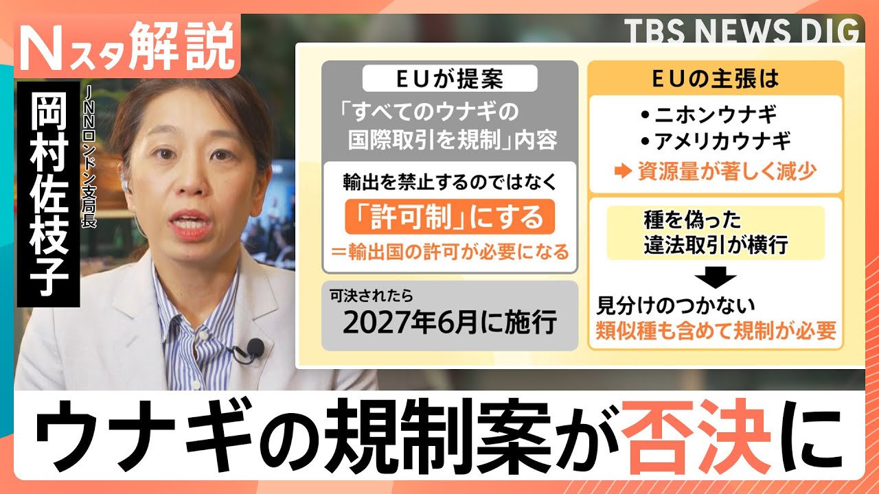 【ウナギ全種の規制は否決！】&ldquo;違法取引&rdquo;横行でEUが提案　7割を輸入の日本　食文化&times;資源を守るには【Nスタ解説】｜TBS&nbsp;NEWS&nbsp;DIG