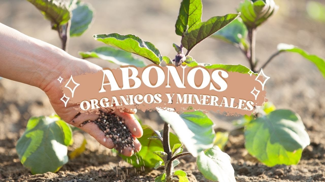 Abonos minerales y organicos