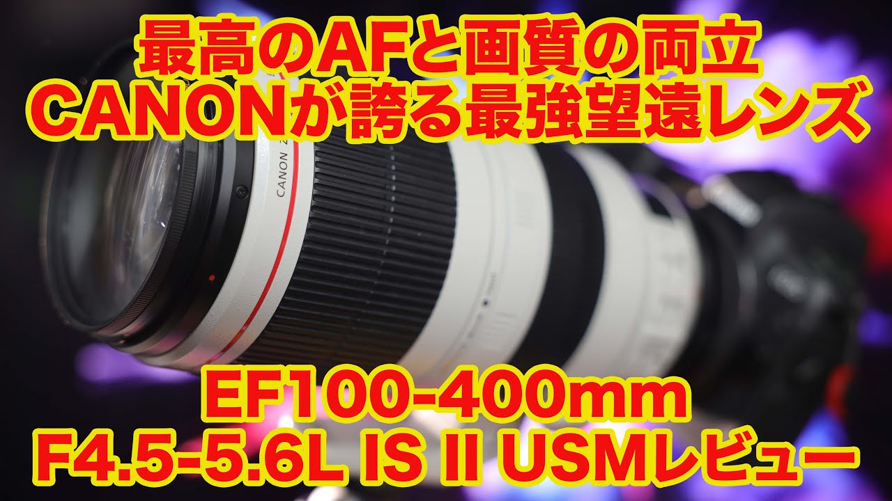安定の画質と超高速AFのバランスが素晴らしい　安定のCanonの白レンズ　EF100-400mm F4.5-5.6L IS II USM レビュー