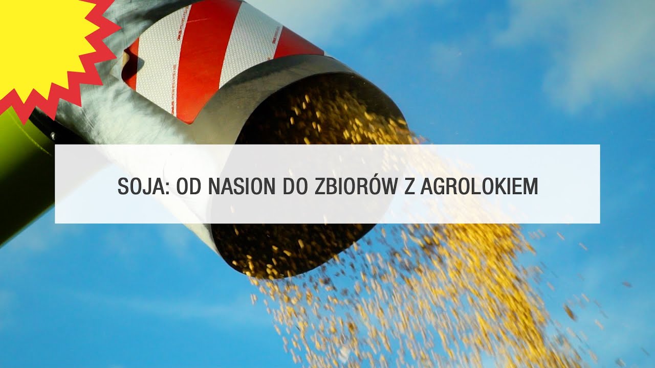 Soja: od nasion do zbiorów z Agrolokiem