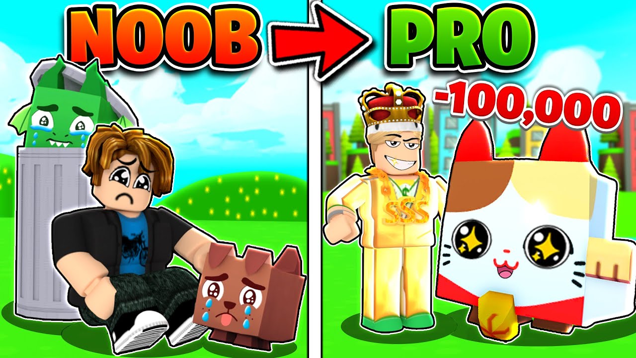 NOOB To PRO INSTANTLY With $100,000 ROBUX! (Roblox Pet Simulator X)