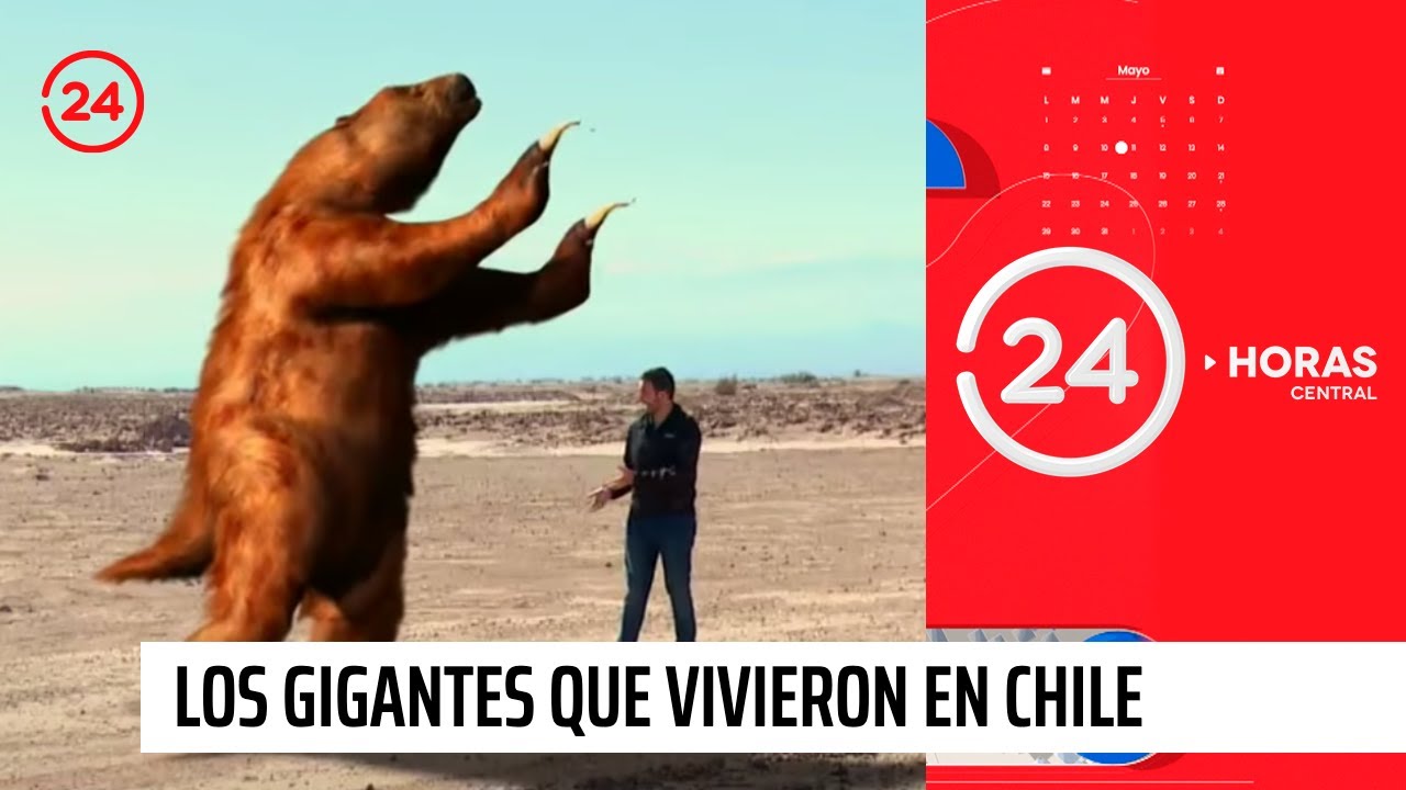 Los gigantes que vivieron en Chile | 24 Horas TVN Chile