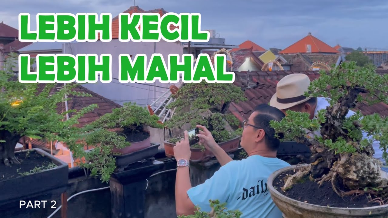 BIAR KECIL TAPI HARGANYA KALAHKAN YANG BESAR