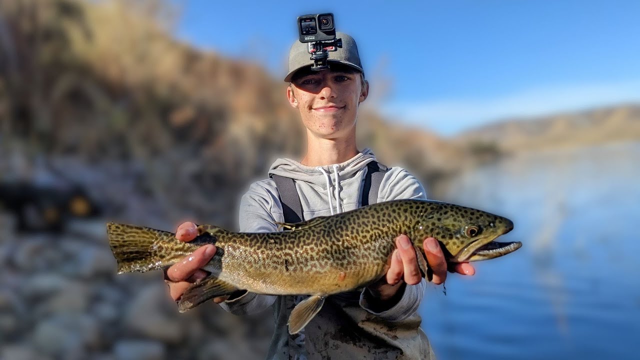 Sight Fishing for BIG TROUT! | Scofield Reservoir Fishing Late Fall 2023