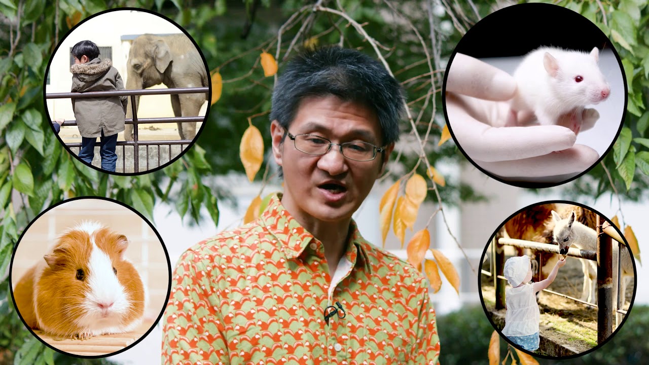 Introduction to Animal Ethics | KyotoUx on edX