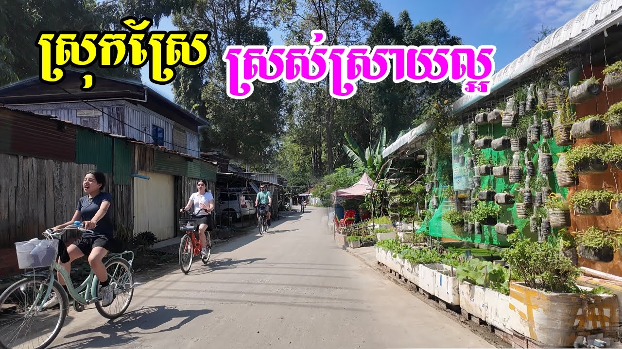 ស្រុកស្រែជនបទនៅខេត្តបាត់ដំបងស្រស់ស្រាយល្អណាស់ធម្មជាតិល្អខ្យល់បរិសុទ្ធ