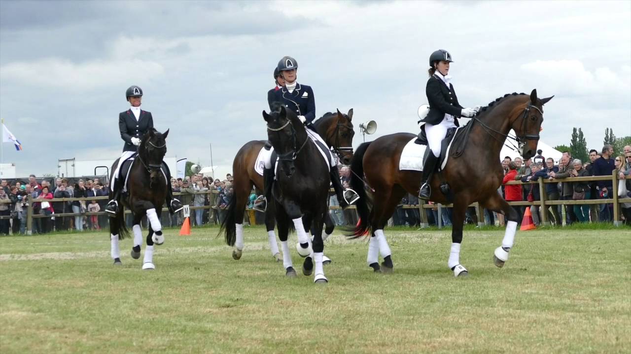 Eventing Hulsberg 2016