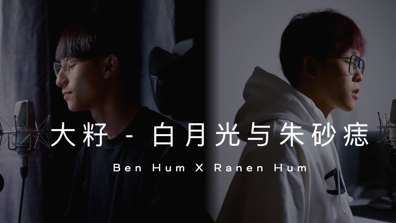 白月光与朱砂痣 Cover Ben Hum Feat @RanenHum