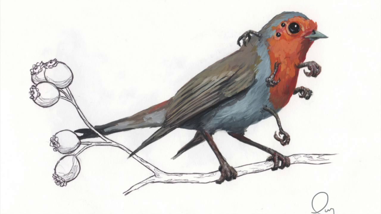 Rad-Bird Robin