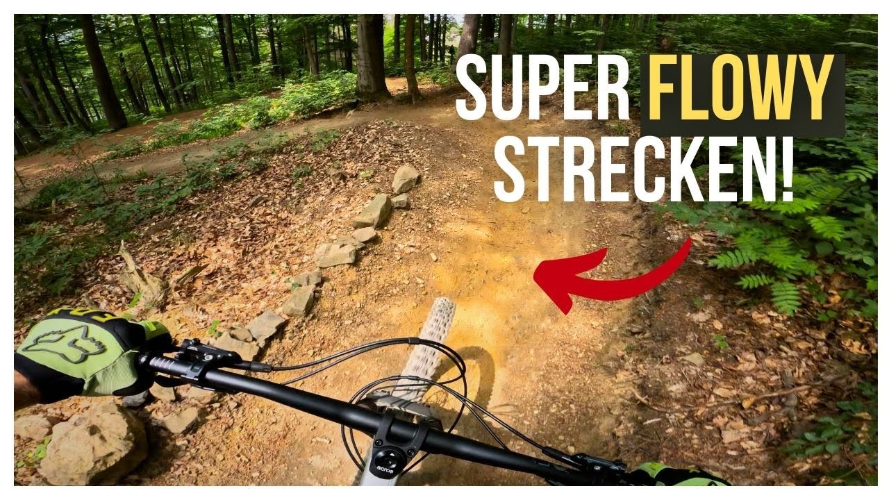 Flow Trail at MSB-X Trail (Bikepark Sankt Andreasberg im Harz) is really fun!  [4K]