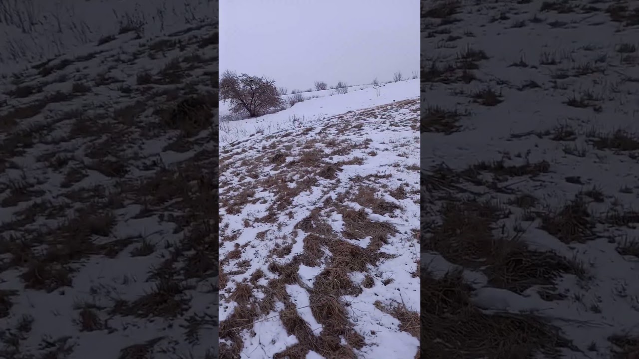 Ветер на полях