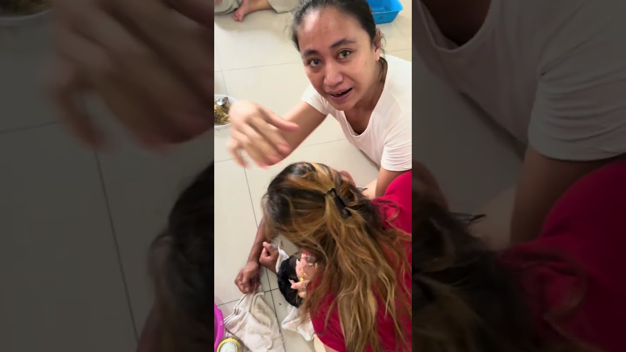 RAYA CINA PERTAMA VIDEO PART 4 ANNG NGANUK KITAI BERTUNDIK AJA KITAI HAPPY2 HAPPY CHINESE NEW YEAR 