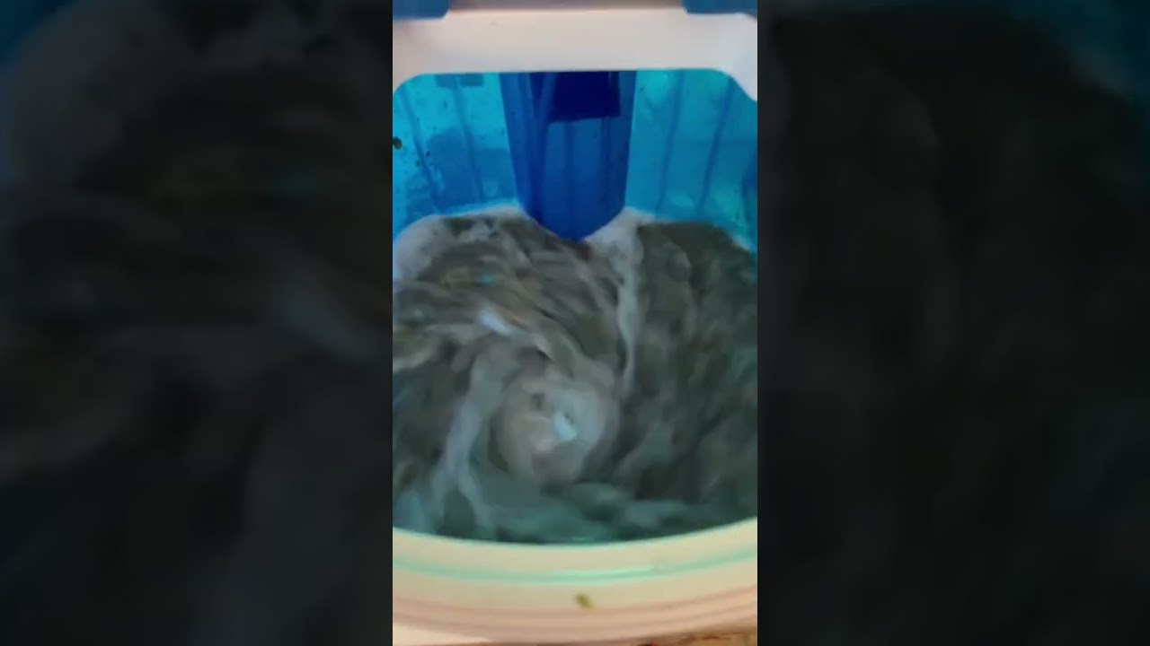 Washing flower for bubble hash