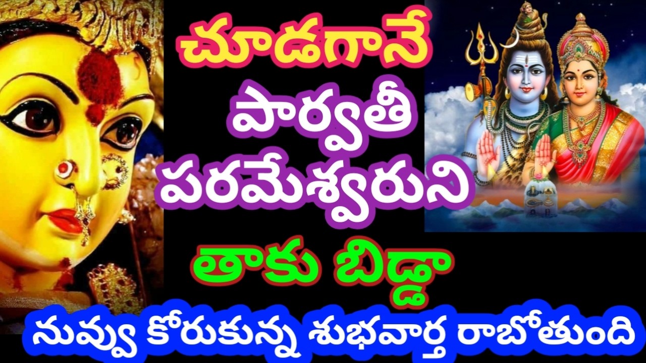 చూడగానే పార్వతీ పరమేశ్వరుని తాకు నువ్వు కోరుకున్న శుభవార్త రాబోతుంది వినుDurgamma|motivationl|bhakti