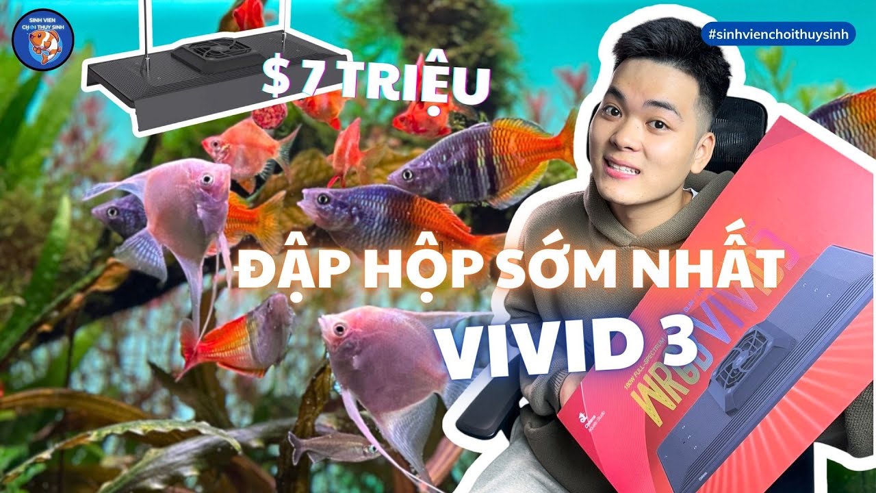Đập hộp Chihiros Vivid 3 MỚI NHẤT - Đèn thuỷ sinh 7 triệu đồng | Sinh Viên Chơi Thuỷ Sinh