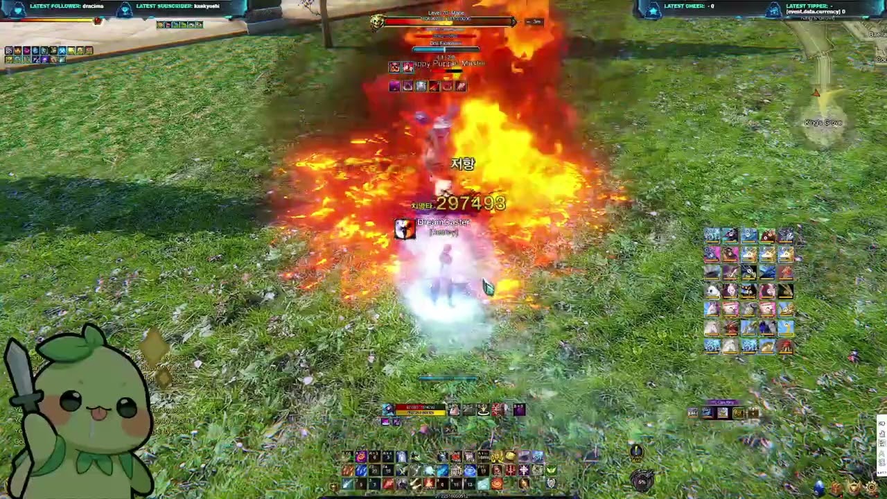 Celestial Icarus wizard solo expert scroll