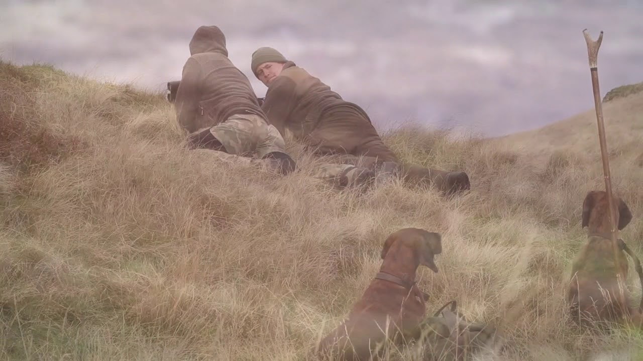 Hunt Northengland 2017 -Hannoversche Schweisshunde - von der Roten F&auml;hrte