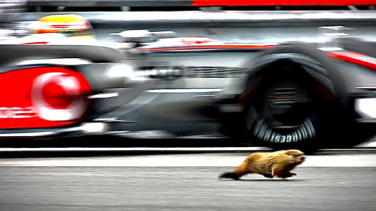 2008 Canadian Grand Prix | Round 7/18