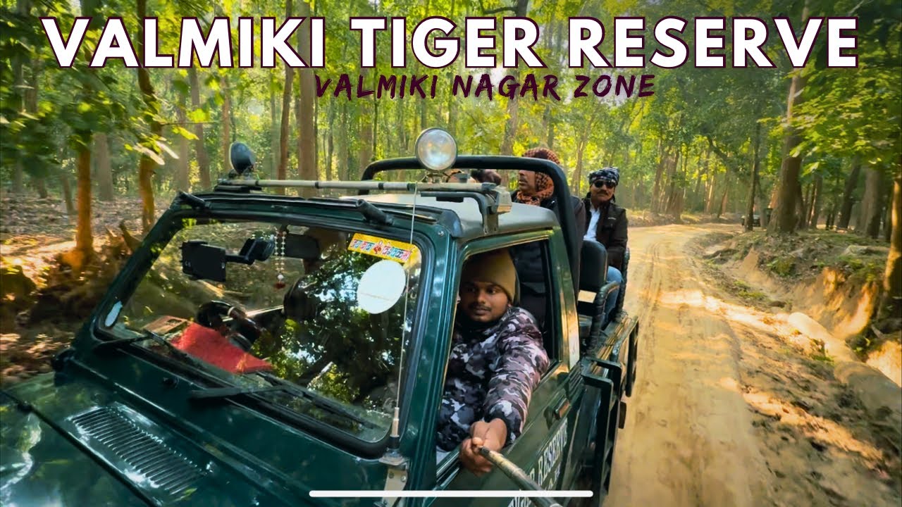 Valmiki tiger reserve | Valmiki nagar tiger reserve | leopard sighting | Valmikinagar | Bihar forest