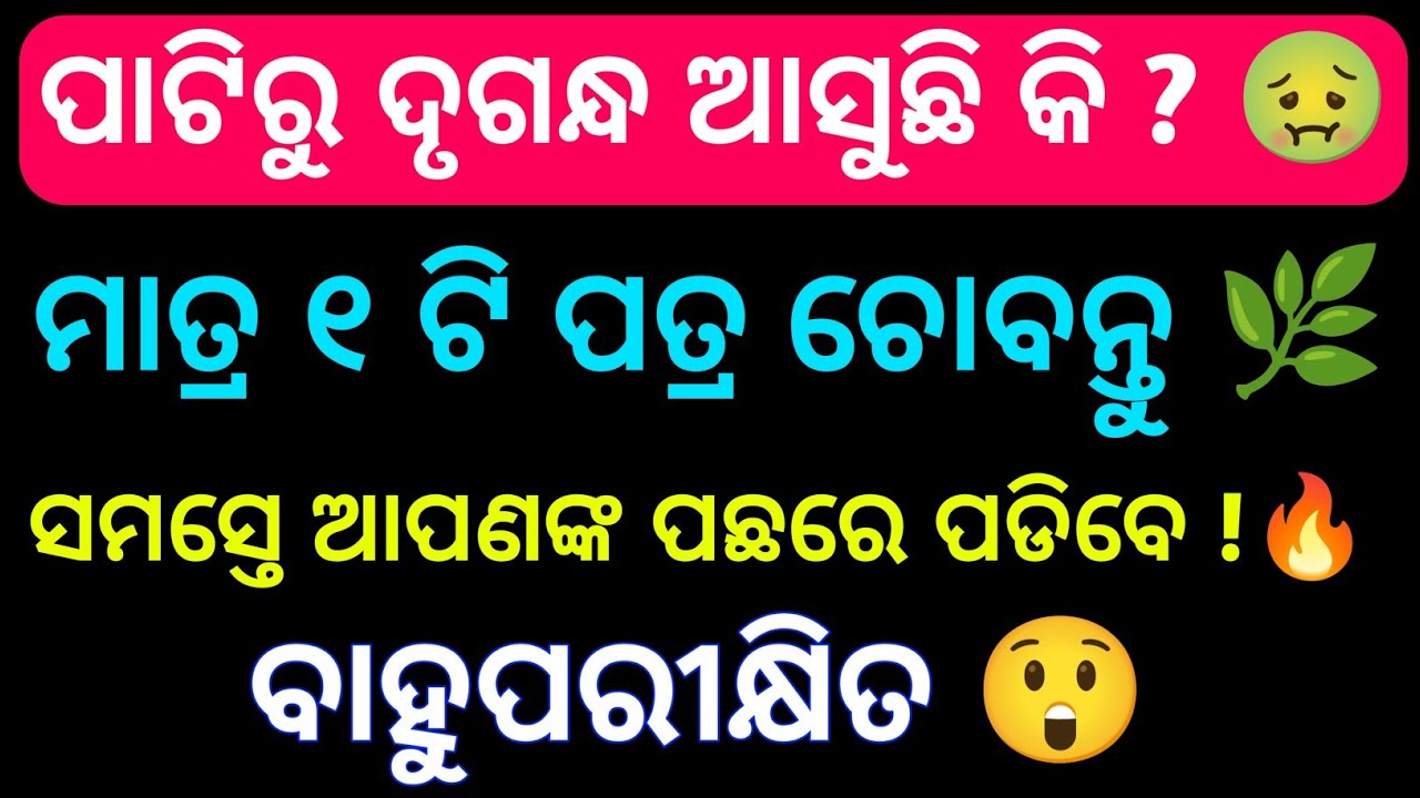 Odia GK Quiz | General Knowledge Odia | Odia GK Questions And Answers 2026