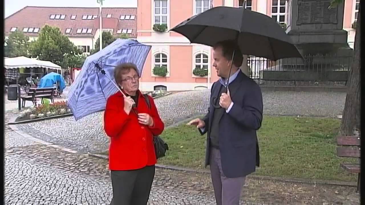 German Elections: The Making of Merkel