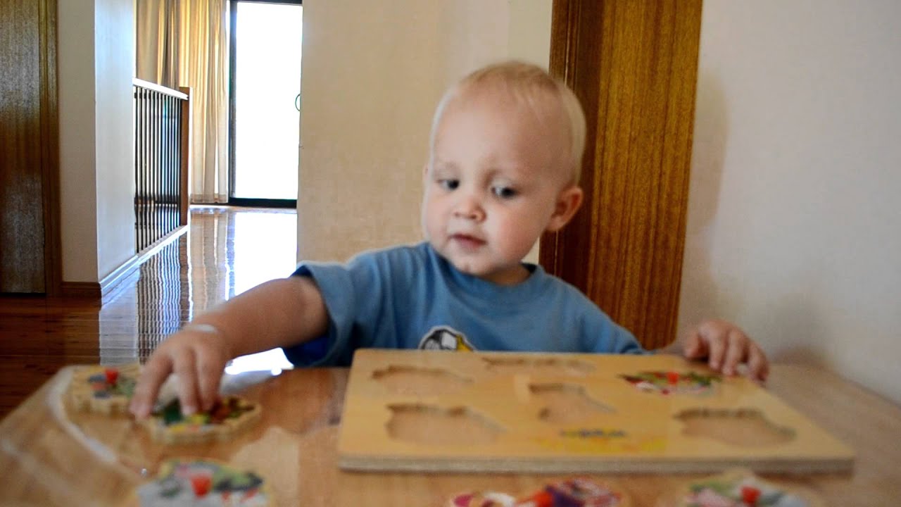 Anecdotal Record - Levi 18 months completing a puzzle