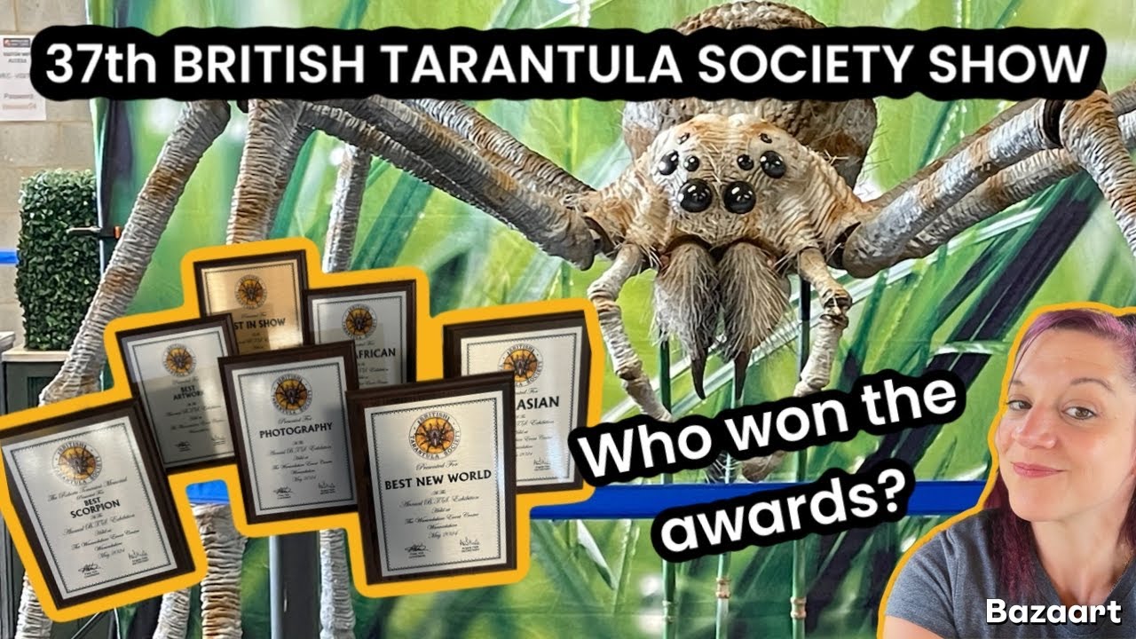 37th British Tarantula Society Show inc. AWARDS CEREMONY