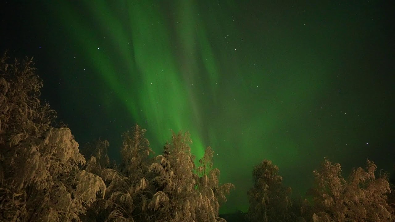 Aurora ao vivo em Överkalix