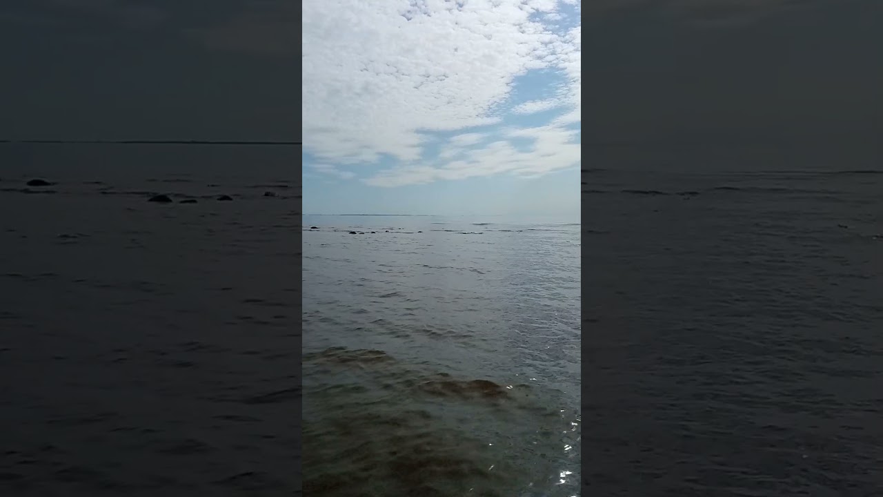 Gulf of Finland and the sun🙂 Финский залив, Комарово #gulf #sea #water