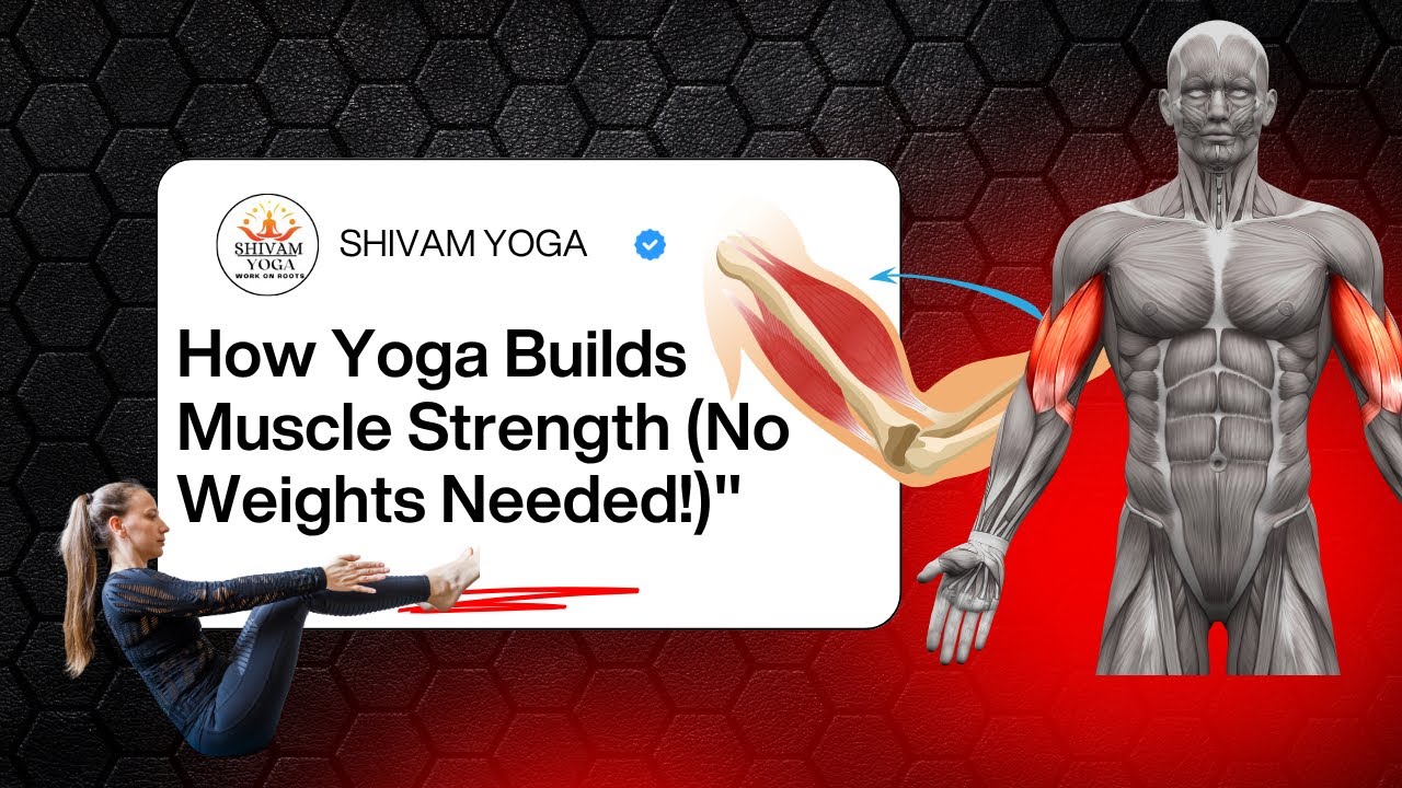 How Yoga Builds Muscle Strength (No Weights Needed!)
