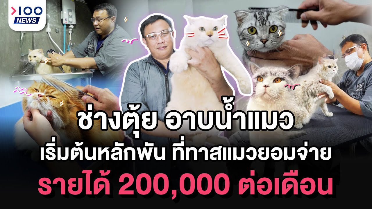 “ช่างตุ้ย” อาบน้ำแมว เริ่มต้นหลักพัน ที่ทาสแมวยอมจ่าย รายได้ 200,000 ต่อเดือน | 100NEWS