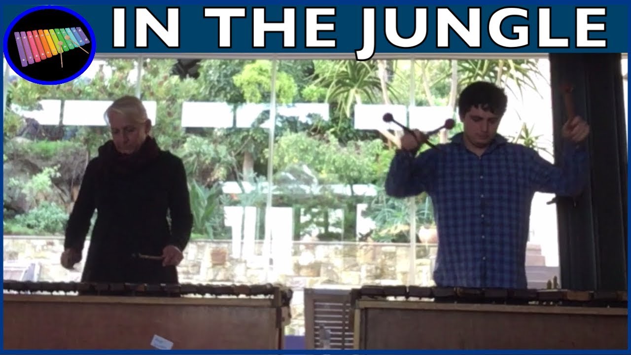 Private Lesson | In The Jungle - Marimba Cover