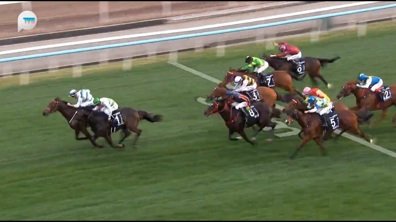 HKJC香港一哩錦標 Hong Kong Mile 一級賽 G1 1600m 2025-12-14 遨遊氣泡 VOYAGE BUBBLE 沙田馬場 Shatin Racecourse