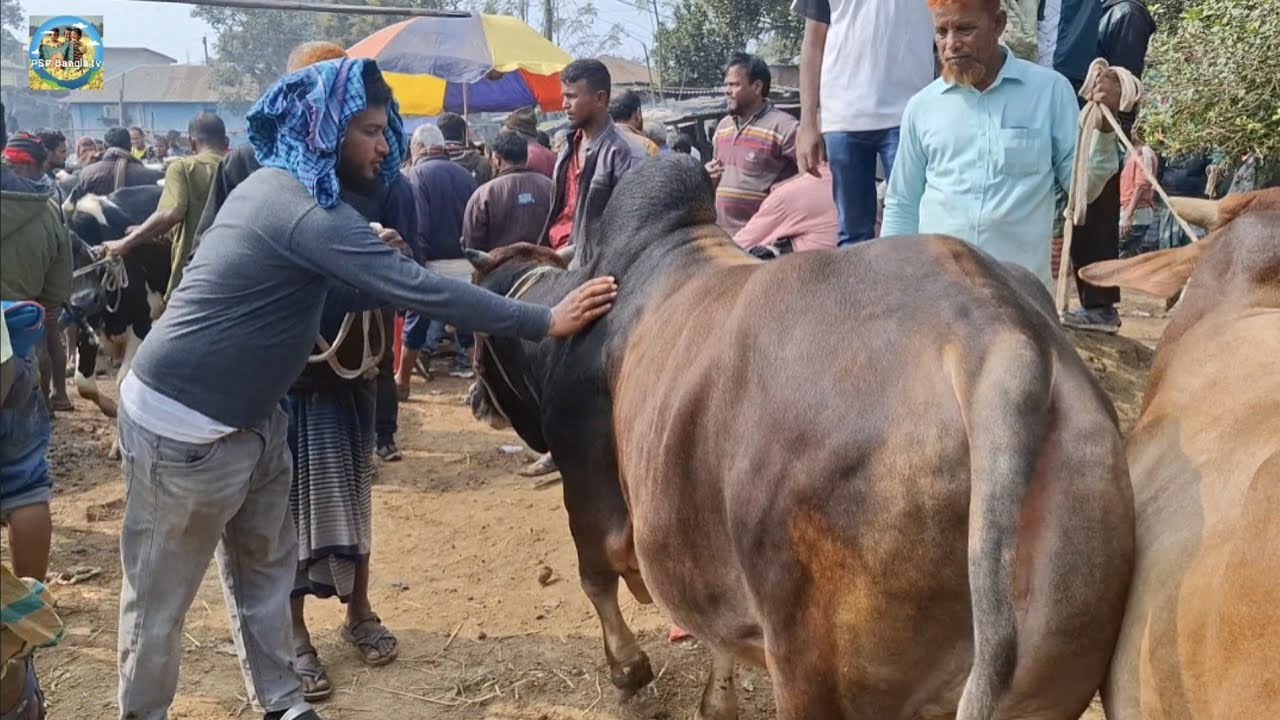 @ ৩১ জানু