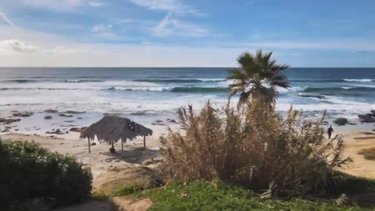 Michelle Serafini | 1056 Pearl St 3 La Jolla | COMPASS | CURB360 Video