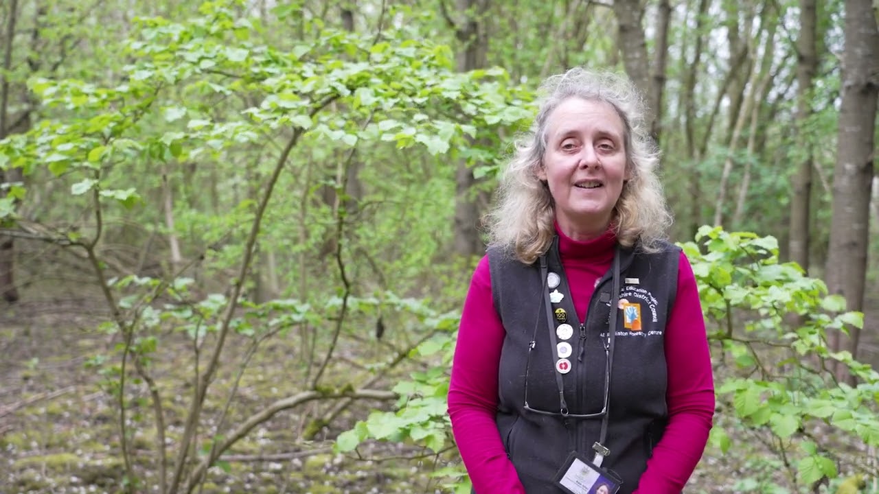 Introduction to Harmful and Toxic Plants