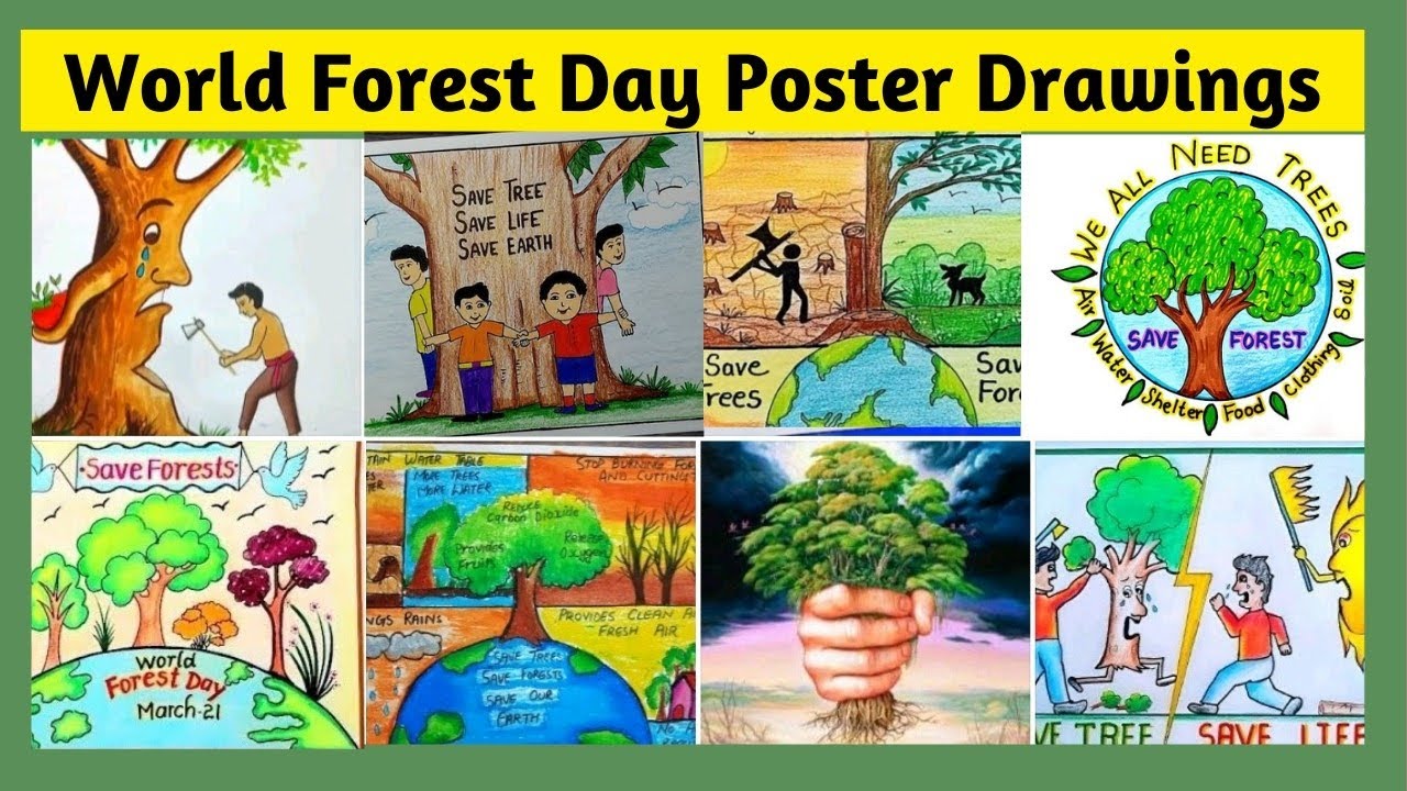 Save Forest Drawing, Save tree Drawing, World Forest Day drawing poster 2025/Save Trees Save Forest