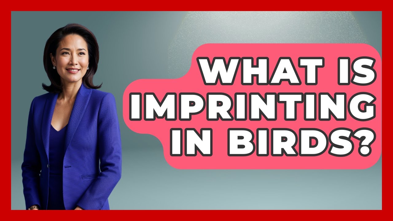 What Is Imprinting In Birds? - Bird Watching Diaries