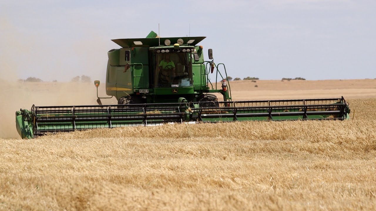 Harvester Forum: Part 5/8 | Adjusting your John Deere harvester to reduce losses