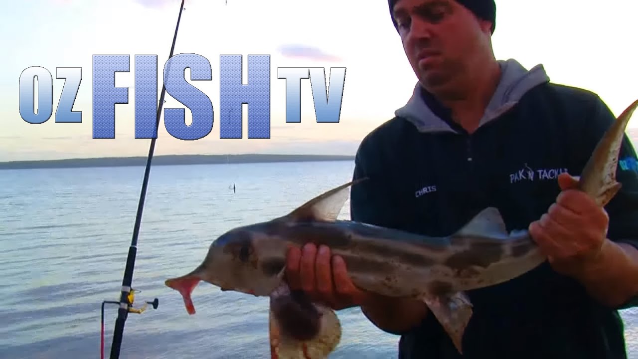 Oz Fish TV Season 2 Episode 3, Lang Lang, Land based Fishing