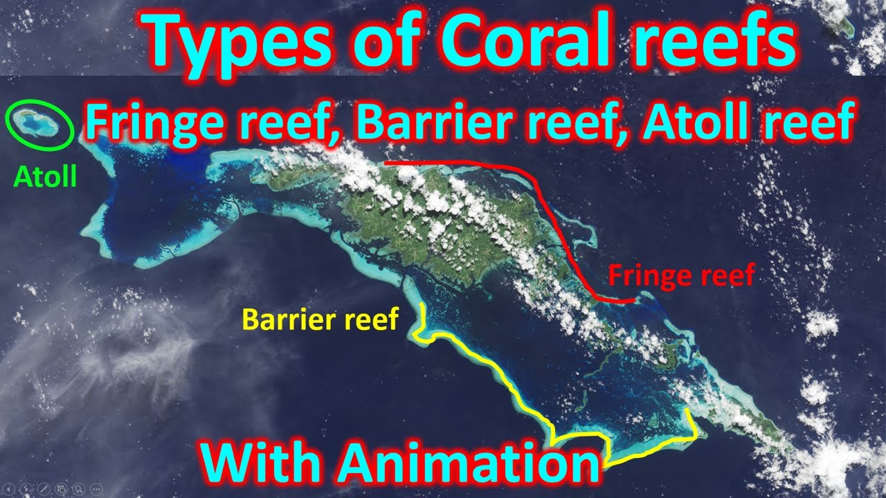 Types of coral reefs: Fringe reef, Barrier reef, Atoll reef | UPSC (CSE)