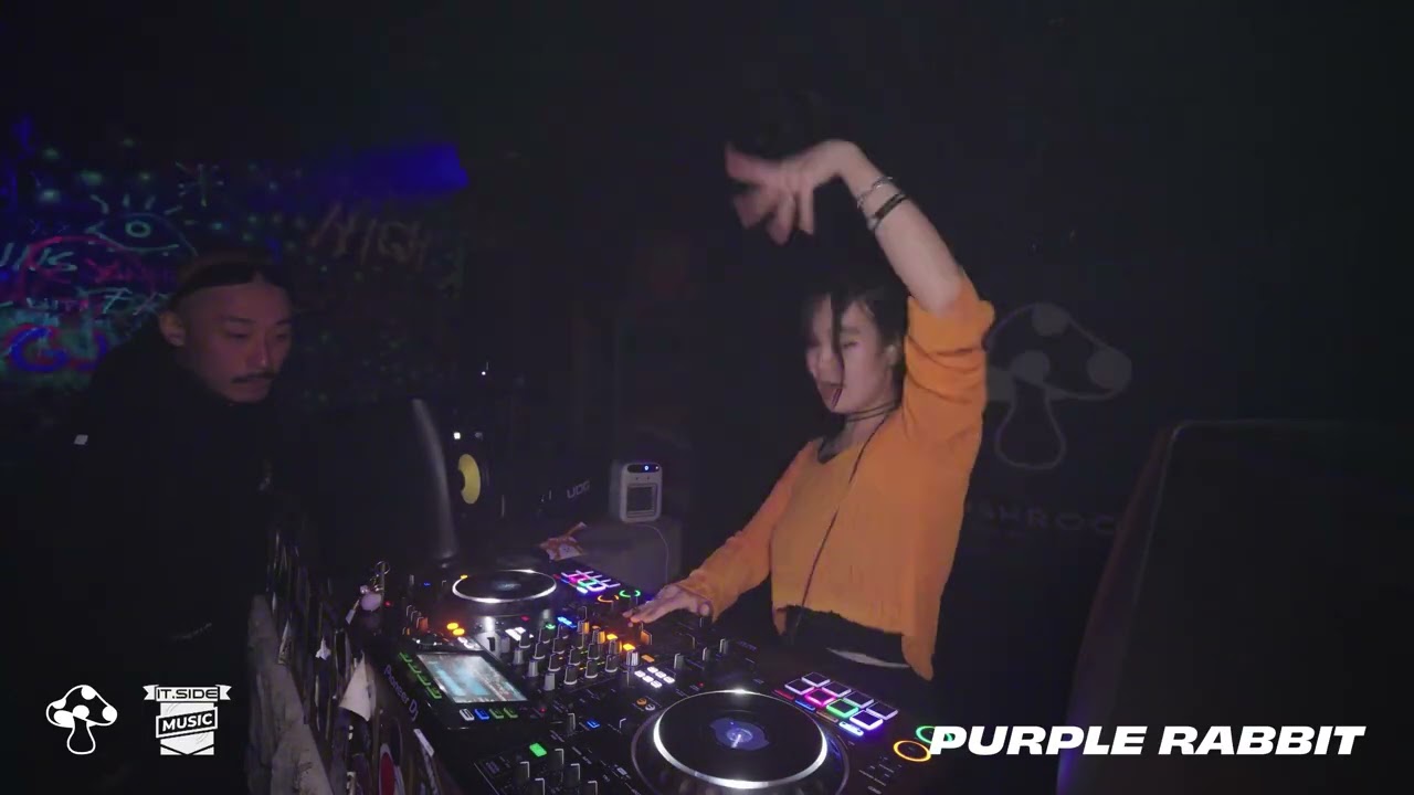 Purple Rabbit / IT.SIDE.MUSIC Opendeck: Trance, TechTrance, HardTrance, Techno